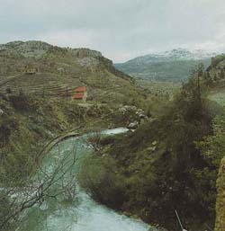 Une source dans la montagne